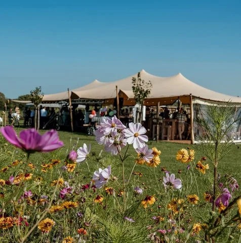 Stretchtent achter wilde bloemen